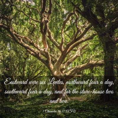 Picture 03 - 1 Chronicles 26:17 ASV - Eastward were six Levites, northward four a day, - Bible Verse Picture