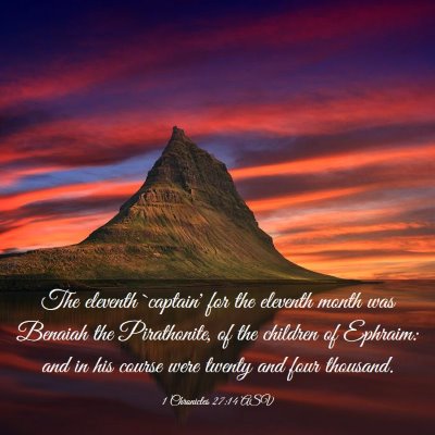 Picture 03 - 1 Chronicles 27:14 ASV - The eleventh `captain' for the eleventh month was - Bible Verse Picture