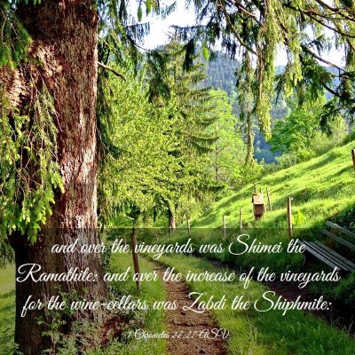 Picture 03 - 1 Chronicles 27:27 ASV - and over the vineyards was Shimei the Ramathite: - Bible Verse Picture