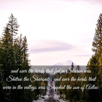 Picture 03 - 1 Chronicles 27:29 ASV - and over the herds that fed in Sharon was Shitrai - Bible Verse Picture
