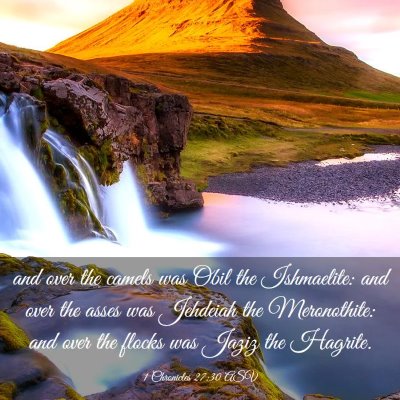 Picture 03 - 1 Chronicles 27:30 ASV - and over the camels was Obil the Ishmaelite: and - Bible Verse Picture