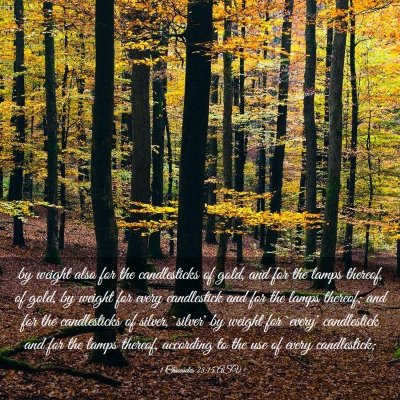 Picture 03 - 1 Chronicles 28:15 ASV - by weight also for the candlesticks of gold, and - Bible Verse Picture