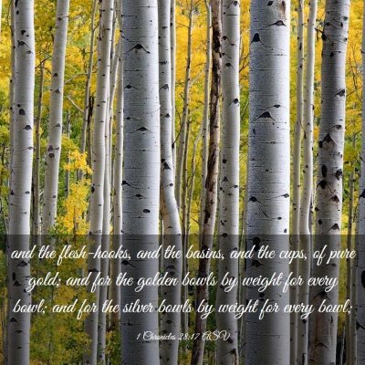 Picture 03 - 1 Chronicles 28:17 ASV - and the flesh-hooks, and the basins, and the - Bible Verse Picture