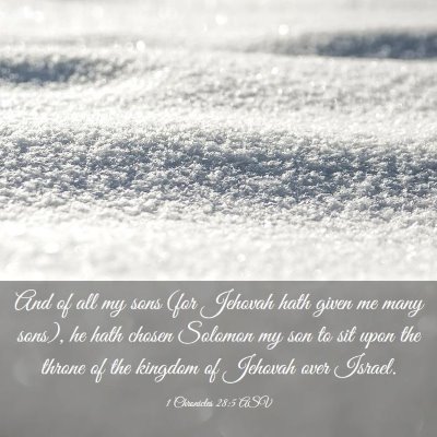 Picture 03 - 1 Chronicles 28:5 ASV - And of all my sons (for Jehovah hath given me - Bible Verse Picture