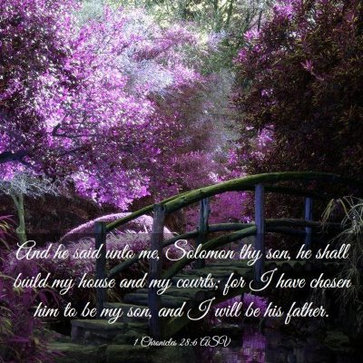 Picture 03 - 1 Chronicles 28:6 ASV - And he said unto me, Solomon thy son, he shall - Bible Verse Picture