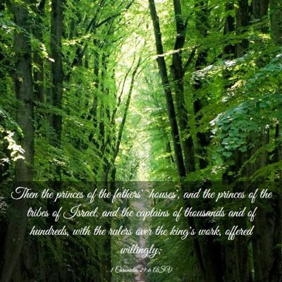 Picture 03 - 1 Chronicles 29:6 ASV - Then the princes of the fathers' `houses', and - Bible Verse Picture