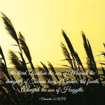 Picture 03 - 1 Chronicles 3:2 ASV - the third, Absalom the son of Maacah the daughter - Bible Verse Picture