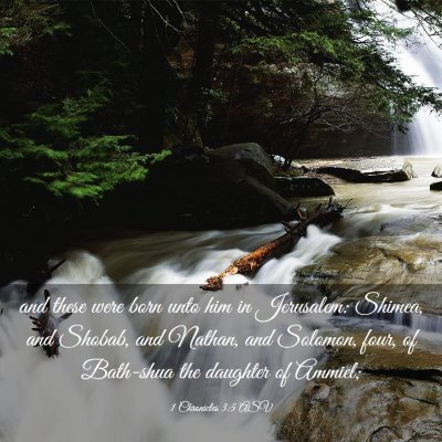 Picture 03 - 1 Chronicles 3:5 ASV - and these were born unto him in Jerusalem: - Bible Verse Picture