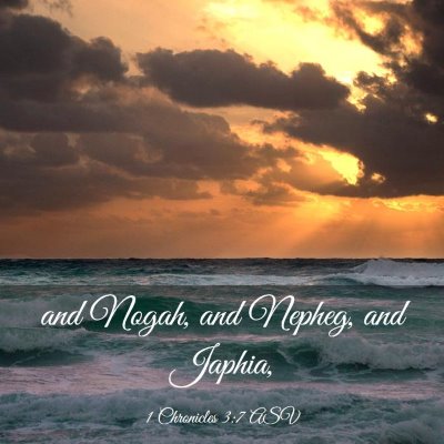 Picture 03 - 1 Chronicles 3:7 ASV - and Nogah, and Nepheg, and - Bible Verse Picture