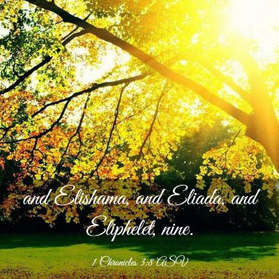 Picture 03 - 1 Chronicles 3:8 ASV - and Elishama, and Eliada, and Eliphelet, - Bible Verse Picture