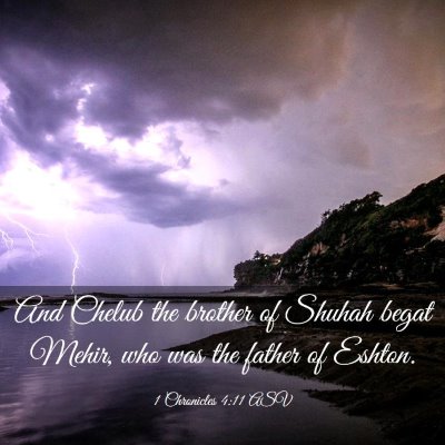 Picture 03 - 1 Chronicles 4:11 ASV - And Chelub the brother of Shuhah begat Mehir, who - Bible Verse Picture