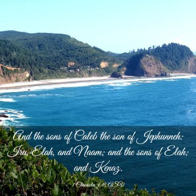 Picture 03 - 1 Chronicles 4:15 ASV - And the sons of Caleb the son of Jephunneh: Iru, - Bible Verse Picture