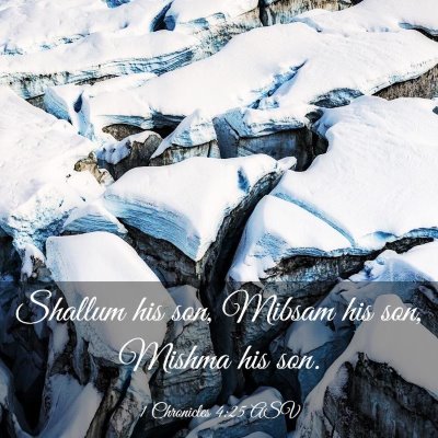 Picture 03 - 1 Chronicles 4:25 ASV - Shallum his son, Mibsam his son, Mishma his - Bible Verse Picture