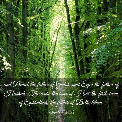 Picture 03 - 1 Chronicles 4:4 ASV - and Penuel the father of Gedor, and Ezer the - Bible Verse Picture