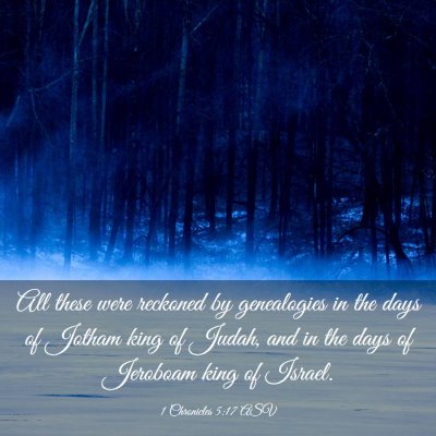 Picture 03 - 1 Chronicles 5:17 ASV - All these were reckoned by genealogies in the - Bible Verse Picture