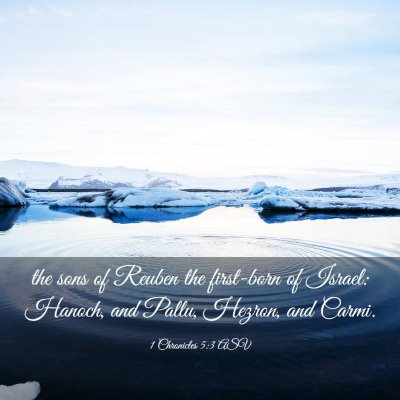 Picture 03 - 1 Chronicles 5:3 ASV - the sons of Reuben the first-born of Israel: - Bible Verse Picture