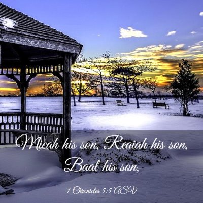 Picture 03 - 1 Chronicles 5:5 ASV - Micah his son, Reaiah his son, Baal his - Bible Verse Picture