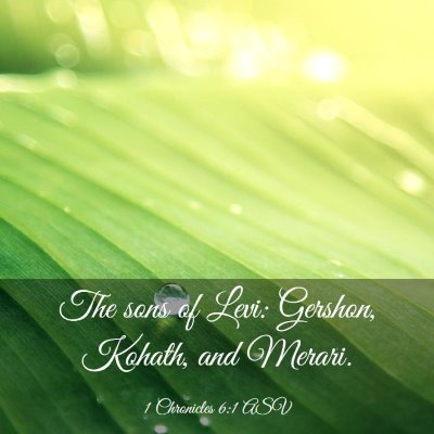 Picture 03 - 1 Chronicles 6:1 ASV - The sons of Levi: Gershon, Kohath, and - Bible Verse Picture