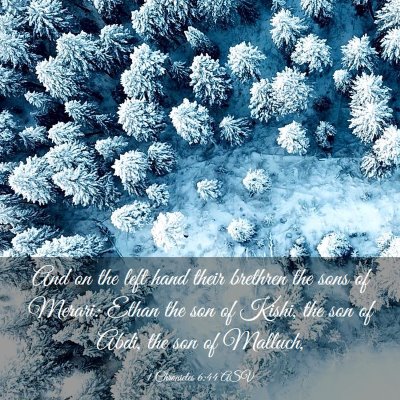 Picture 03 - 1 Chronicles 6:44 ASV - And on the left hand their brethren the sons of - Bible Verse Picture