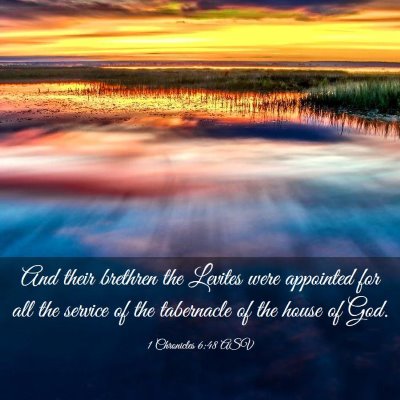 Picture 03 - 1 Chronicles 6:48 ASV - And their brethren the Levites were appointed for - Bible Verse Picture