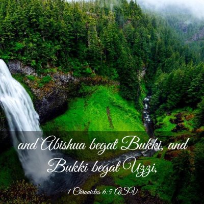 Picture 03 - 1 Chronicles 6:5 ASV - and Abishua begat Bukki, and Bukki begat - Bible Verse Picture