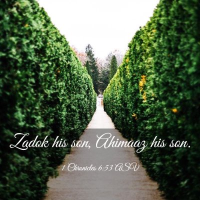 Picture 03 - 1 Chronicles 6:53 ASV - Zadok his son, Ahimaaz his - Bible Verse Picture