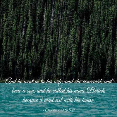Picture 03 - 1 Chronicles 7:23 ASV - And he went in to his wife, and she conceived, - Bible Verse Picture