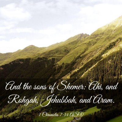 Picture 03 - 1 Chronicles 7:34 ASV - And the sons of Shemer: Ahi, and Rohgah, - Bible Verse Picture
