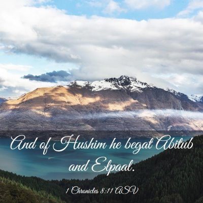 Picture 03 - 1 Chronicles 8:11 ASV - And of Hushim he begat Abitub and - Bible Verse Picture
