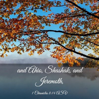 Picture 03 - 1 Chronicles 8:14 ASV - and Ahio, Shashak, and - Bible Verse Picture