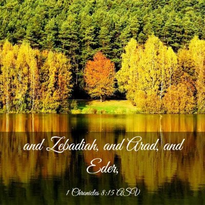 Picture 03 - 1 Chronicles 8:15 ASV - and Zebadiah, and Arad, and - Bible Verse Picture