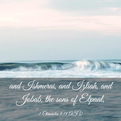 Picture 03 - 1 Chronicles 8:18 ASV - and Ishmerai, and Izliah, and Jobab, the sons of - Bible Verse Picture