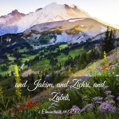 Picture 03 - 1 Chronicles 8:19 ASV - and Jakim, and Zichri, and - Bible Verse Picture