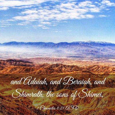 Picture 03 - 1 Chronicles 8:21 ASV - and Adaiah, and Beraiah, and Shimrath, the sons - Bible Verse Picture