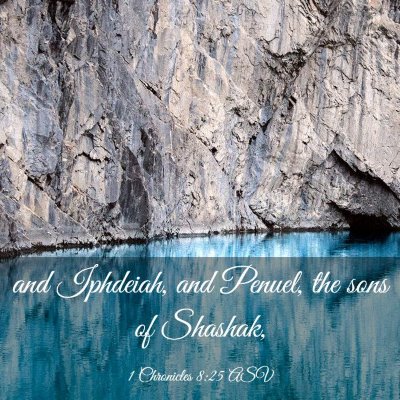 Picture 03 - 1 Chronicles 8:25 ASV - and Iphdeiah, and Penuel, the sons of - Bible Verse Picture