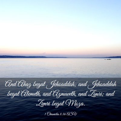 Picture 03 - 1 Chronicles 8:36 ASV - And Ahaz begat Jehoaddah; and Jehoaddah begat - Bible Verse Picture