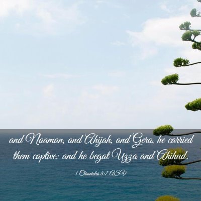 Picture 03 - 1 Chronicles 8:7 ASV - and Naaman, and Ahijah, and Gera, he carried them - Bible Verse Picture