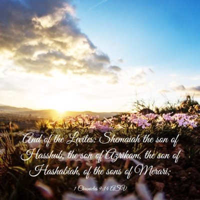 Picture 03 - 1 Chronicles 9:14 ASV - And of the Levites: Shemaiah the son of Hasshub, - Bible Verse Picture