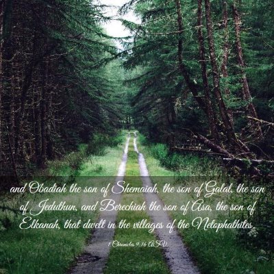 Picture 03 - 1 Chronicles 9:16 ASV - and Obadiah the son of Shemaiah, the son of - Bible Verse Picture