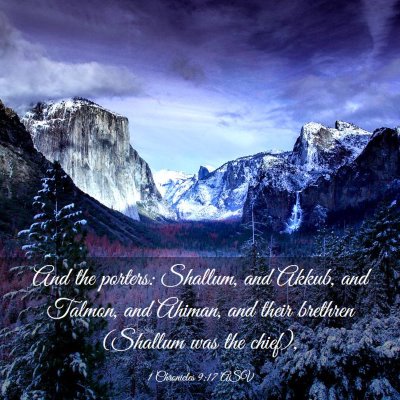 Picture 03 - 1 Chronicles 9:17 ASV - And the porters: Shallum, and Akkub, and Talmon, - Bible Verse Picture