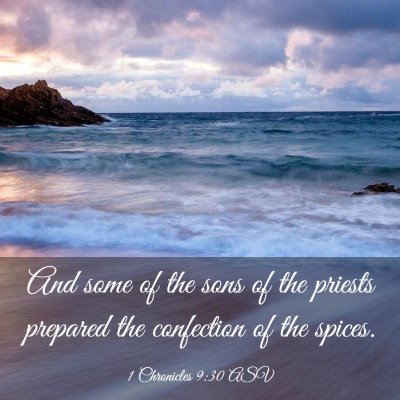 Picture 03 - 1 Chronicles 9:30 ASV - And some of the sons of the priests prepared the - Bible Verse Picture