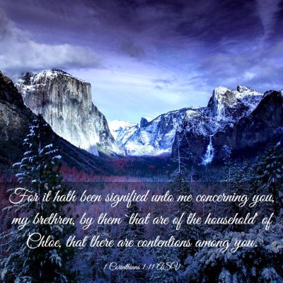 Picture 03 - 1 Corinthians 1:11 ASV - For it hath been signified unto me concerning - Bible Verse Picture