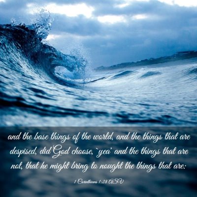 Picture 03 - 1 Corinthians 1:28 ASV - and the base things of the world, and the things - Bible Verse Picture