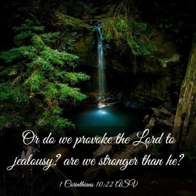 Picture 03 - 1 Corinthians 10:22 ASV - Or do we provoke the Lord to jealousy? are we - Bible Verse Picture