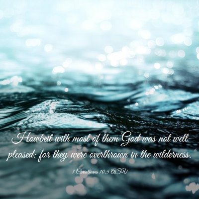 Picture 03 - 1 Corinthians 10:5 ASV - Howbeit with most of them God was not well - Bible Verse Picture
