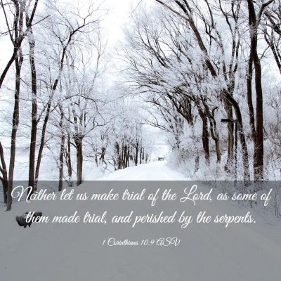 Picture 03 - 1 Corinthians 10:9 ASV - Neither let us make trial of the Lord, as some of - Bible Verse Picture