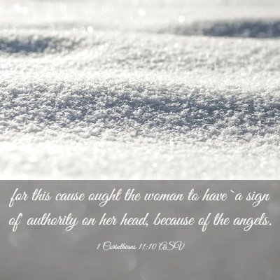 Picture 03 - 1 Corinthians 11:10 ASV - for this cause ought the woman to have `a sign - Bible Verse Picture