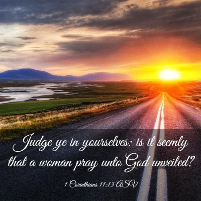 Picture 03 - 1 Corinthians 11:13 ASV - Judge ye in yourselves: is it seemly that a woman - Bible Verse Picture
