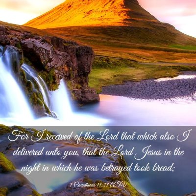Picture 03 - 1 Corinthians 11:23 ASV - For I received of the Lord that which also I - Bible Verse Picture