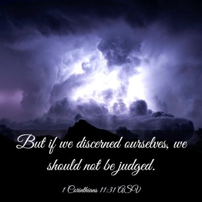 Picture 03 - 1 Corinthians 11:31 ASV - But if we discerned ourselves, we should not be - Bible Verse Picture